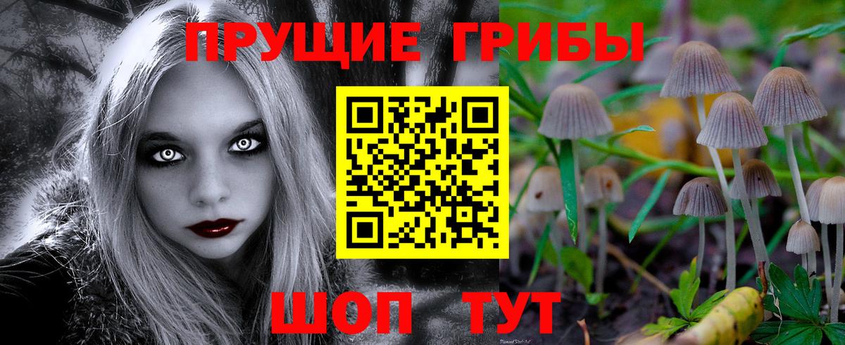 Псилоцибиновые грибы Psilocybine cubensis  Вход с VPN  Светлоград 